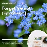 ราคา เมล็ดดอกไม้กินได้ Forget me not สายพันธุ์ (Cynoglossum) (7768305900)