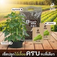 ราคา ชุดปลูกมะระจีน เซตปลูกไม้เลื้อย4 พร้อมเมล็ดพันธุ์ออร์แกนิค เมล็ดพันธุ์หายาก เมล็ดพันธุ์นำเข้า ปลูกผักเอง สวนผัก (58106635616)