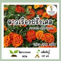 ราคา เมล็ดพันธุ์ ดาวเรืองฝรั่งเศส (French Marigold) จำนวน 200 เมล็ด เมล็ดพันธุ์OPแท้ อัตราการงอกสูง (9464184871)