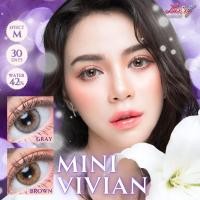 ราคา คอนแทคเลนส์Mini Vivian Brown/Gray (Luxzylens) ขนาดมินิ (12178070659)
