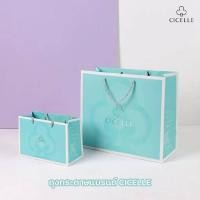 ราคา ถุงกระดาษใส่กระเป๋า ขนาดใหญ่CICELLE C066 (28916305290)