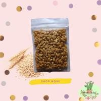 ราคา เมล็ดข้าวสาลี หญ้าแมวมาปลูกต้นอ่อนข้าวสาลีกัน (11147726865)