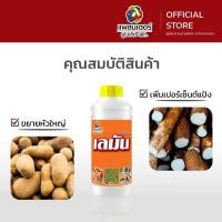ราคา เลมัน 1 ลิตร เร่งลงหัว มันหวาน มันสำปะหลัง เผือก มันแกว หัวใหญ่ เนื้อแน่น น้ำหนักดี หัวมันโต ลงหัว (47004361740)