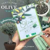 ราคา พร้อมส่ง ปุ๋ยต้นมะกอกโอลีฟ ปุ๋ยมะกอก ปุ๋ยต้นโอลีฟ ปุ๋ยสำหรับต้นโอลีฟ บำรุงต้นโอลีฟ (41754569862)
