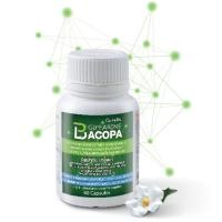 ราคา ส่งฟรีบาโคพา กิฟฟารีน BACOPA GIFFARINE เสริมความจำ บำรุงสมอง ป้องกันสมองเสื่อม (11216569431)