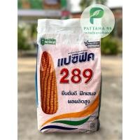 ราคา เมล็ดพันธุ์ข้าวโพด แปซิฟิค 289 (3.5 หุน) *ขนาด 10 กก. ยืนต้นดี ฝักเสมอ ผลผลิตสูง (56309480378)