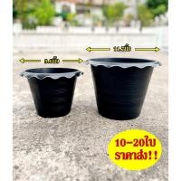 ราคา กระถางบัว กระถางกลม ไม่มีรู ขนาด10นิ้ว 12นิ้ว สีดำ ปากจีบ เซต 10ใบ 20ใบ (52006692689)