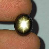 ราคา พลอย แบล็ค สตาร์ แซฟไฟร์ ดิบ ธรรมชาติ แท้ ( Unheated Natural Black Star Sapphire ) หนัก 9.91 กะรัต (23518651456)