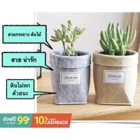 ราคา ถุงคลุมกระถาง ต้นไม้ Design IKEA ; mini cover (10230804081)