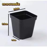 ราคา กระถางแคคตัส ขอบมน กระถางพลาสติก กระถางต้นไม้ กระบองเพชร ไม้อวบน้ำ (29883953254)