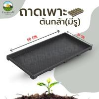 ราคา ถาดเพาะต้นอ่อน แบบมีรู ใช้เพาะต้นอ่อนทานตะวัน ถาดเพาะกล้า (24435645073)