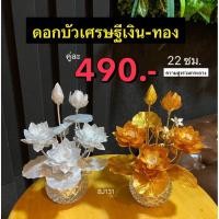 ราคา ดอกบัวเงินทอง 9 ดอกพร้อมโอ่งเงินโอ่งทองใหญ่ จัดสำเร็จ (51557057851)