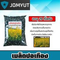ราคา เมล็ดพันธุ์ปอเทือง บรรจุ 20กิโลกรัม เมล็ดปอเทือง พันธุ์ปอเทือง เม็ดพันธุ์ปอเทือง ดอกปอเทือง เม็ดปอเทือง ต้นปอเทือง (28065471441)
