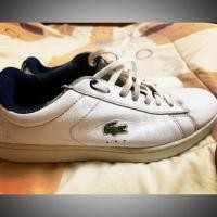 ราคา รองเท้า Lacoste มือสอง (2180389977)