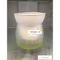 ราคา Bear Greek Yogurt ที่กรองกรีกโยเกิร์ตเกาหลี (25191826495)