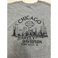 ราคา เสื้อยืดHarley-Davidson ตอกปี2014 แท้มือสองusa (27162672616)