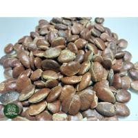 ราคา เม็ดกระบกคั่วเกลือบรรจุ 100 กรัม (45954173561)