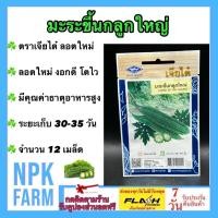 ราคา เจียไต๋ มะระขี้นกลูกใหญ่ หมดอายุ 05/2569 จำนวน 12 เมล็ด/ซอง (41103517381)