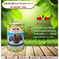 ราคา เมล็ดพันธุ์ฟักทอง ข้าวตอก 573 F1 ตราศรแดง 100g. เมล็ดพันธุ์ เมล็ดพันธุ์ผัก เมล็ดพันธุ์พืช เมล็ดพันธุ์ฟักทอง ลายข้าวตอก (7206384864)