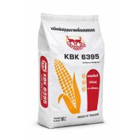 ราคา เมล็ดพันธุ์ข้าวโพดเลี้ยงสัตว์. KBK6395 (5579575705)