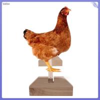 ราคา ไก่ลูกไก่เล็กคอนสําหรับนกลูกไก่ยืน Baby Coop taiduo (50561925740)
