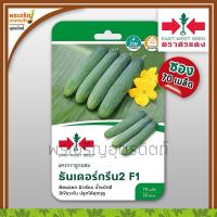 ราคา เมล็ดพันธุ์แตงกวา แตงกวาธันเดอร์กรีน 2 F1 (แบบซอง) เมล็ดแตงกวาศรแดง แตงกวาลูกผสม เมล็ดพันธุ์ผักสวนครัว ตราศรแดง (25322393242)