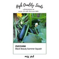 ราคา เมล็ดซูกินี Black Beauty Zucchini รหัส074 (20931558586)
