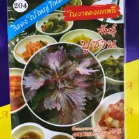 ราคา ใบงาแดง ชิโสะ เกาหลี ประมาณ 500 เมล็ด (1232111227)