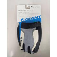 ราคา ถุงมือจักรยาน GIANT Velocity Short Black Size S (43928541399)