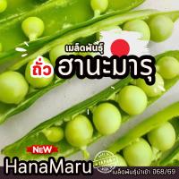 ราคา ถั่วลันเตาหวาน ฮานะมารุ | Sweet Pea Hanamaru | หวาน กรอบ ฝักอวบ เมล็ดกลม ซองละ10เมล็ด (56754769747)