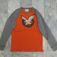 ราคา เสื้อยืดแขนยาว แนวสตรีท AMERICAN EAGLE OUTFITTERS แท้ มือสอง สภาพดี ของพร้อมส่งครับ (52062584026)