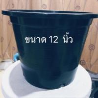 ราคา กระถางต้นไม้ ขนาด 12 นิ้ว กระถางพลาสติกกลมสีดำ (รบกวนสั่งซื้อขั้นต่ำ 5 ใบค่ะ) (5536423530)