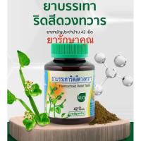 ราคา ยาบรรเทาริดสีดวงทวาร ขาวละออ เพชรสังฆาต รักษาริดสีดวง 42เม็ด (52902951720)