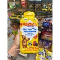 ราคา L'il Critters Gummy Vites Daily Multivitamin 300 Gummies (41609007569)