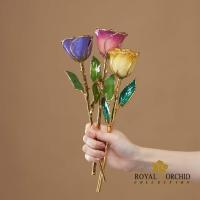ราคา Royal Orchid Collection ช่อกุหลาบขอบทอง 11 นิ้ว (26850442943)