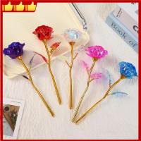 ราคา 24k Golden Rose ดอกไม้วันวาเลนไทน์ของขวัญดอกกุหลาบประดิษฐ์ฟอยล์ Rose ดอกไม้งานแต่งงานตกแต่งวันหยุดปัจจุบันสําหรับคนรัก 18x6.5 ซม. (41007315999)