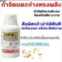 ราคา กำจัดมด ปลวก แมลงสาป ตายยกรัง แมลงวัน มด เหา หมัด แมลง ยาฆ่ามดตายยกรัง ยากําจัดปลวก ยาฉีดมด ยาฆ่าแมลง ไม่มีสี ไม่มีกลิ่น (49207165979)