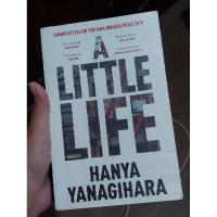 ราคา ชีวิตเล็กน้อยโดยเพียง yanagihara uk edition [preloved] (24517531586)