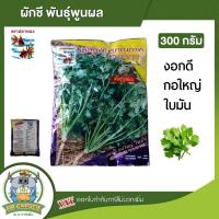 ราคา ปลาทอง ผักชี ขนาด 300 กรัม ผักชี พูนผล งอกดี กอใหญ่ ใบมัน สามเอ ผักซอง เมล็ดพันธุ์ ส่งทั่วไทย เก็บเงินปลายทาง (29342694572)