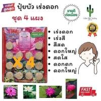 ราคา ปุ๋ยบัว เร่งดอก แผง เร่งสี ปุ๋ยบอน Golden Flower (41751874614)