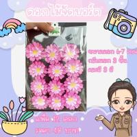 ราคา ดอกไม้กระดาษจัดบอร์ดสีชมพู (43376390897)