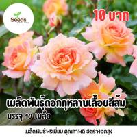ราคา เมล็ดพันธุ์ ดอกกุหลาบเลื้อยสีส้ม บรรจุ 10 เมล็ด (43323816744)