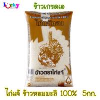 ราคา ไก่แจ้ทอง ข้าวหอมมะลิทุ่งกุลาร้องไห้ 100% ข้าวกลางปี 5 กิโลกรัม (1731861350)