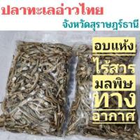 ราคา ปลาฉิ้งฉ้าง @ทะเลอ่าวไทย ปลาจิ้งจั้งแห้ง ปลากะตัก ปลาฉิ้งฉั้ง ปลาอ่าวไทย สุราษฎร์ธานี 1 กิโลกรัม (7717206780)