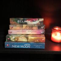 ราคา หนังสือนิยายชุด Twilight แวมไพร์ ทไวไลท์ มือสองสภาพดี เล่ม1-5 (22244578226)