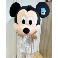 ราคา Mickey Mouse mascot head หัวมาสคอตมิกกี้เมาท์ (46005196911)