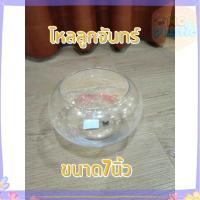 ราคา โหลแก้ว โหลลูกจันทร์ โหลกลม โหลใส่ขนมหวาน โหลใส่ของรวมมิตร โหลปลากัด โหลปลาทอง แก้วใส ส่งทุกวัน⚡ (29393300054)