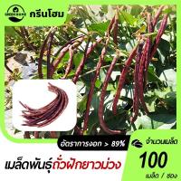 ราคา ถั่วฝักยาวม่วง เมล็ดถัวฝักยาวสีม่วง 100 เมล็ดงอกง่ายฝักม่วงผลดก (26232020562)