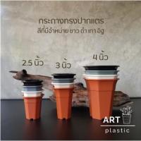 ราคา กระถางทรงปากแตร ขนาด 3 นิ้ว เซต 20 ใบ (15798006910)