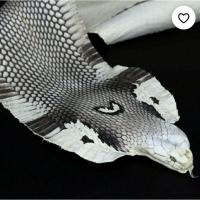 ราคา cobra skin money clip natural color หนีบธนบัตรหนังงูเห่า (11417785774)